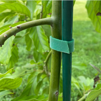 Cinta de Nylon Ajustable para Plantas 2M | Soporte Reutilizable de Jardín, Atado y Fijación