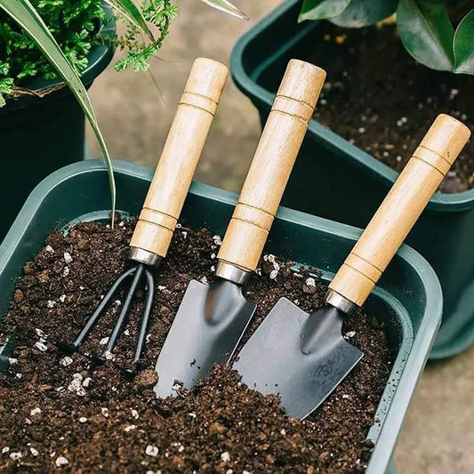Set de 3 Herramientas de Jardinería Mini | Palita, Rastrillo y Pala para Macetas, Cactus y Plantas de Interior