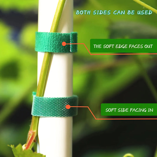 Cinta de Nylon Ajustable para Plantas 2M | Soporte Reutilizable de Jardín, Atado y Fijación