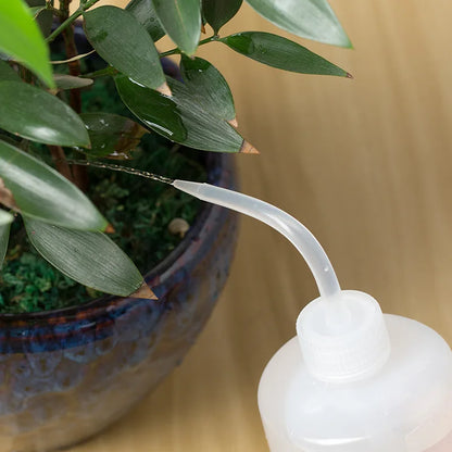 Regadera de Precisión 150/250/500mL – Botella de Plástico con Pico para Riego de Suculentas, Plantas y Flores + Herramientas de Jardinería