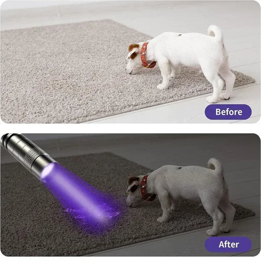 Linterna UV 395nm Portátil con Clip – Detector de Orina de Mascotas, Escorpiones y Uso Multifuncional