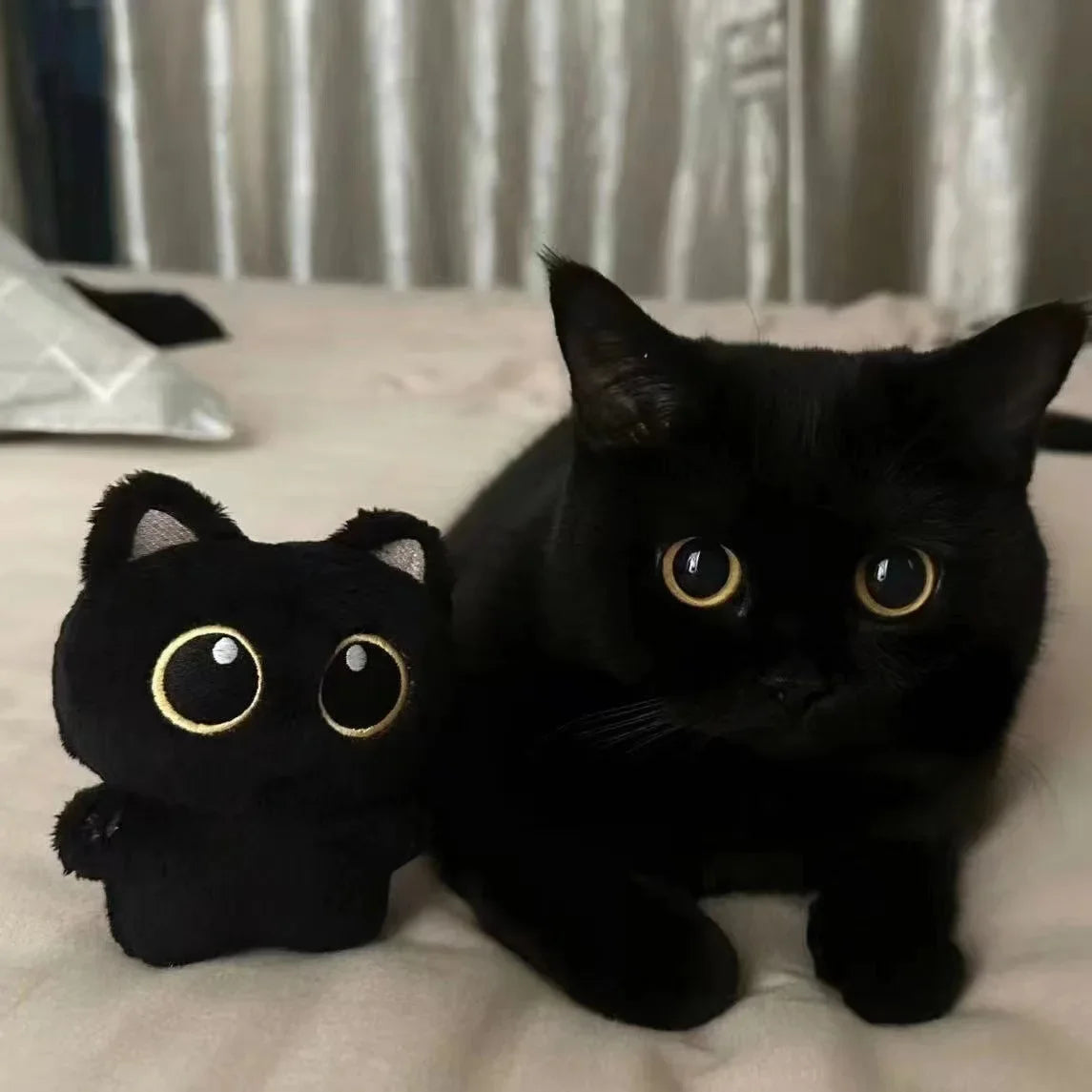 Peluche Gato Negro 10cm | Muñeco Suave Colgante Almohada Cojín Regalo Niños